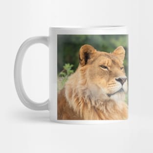 Watchful lion Mug